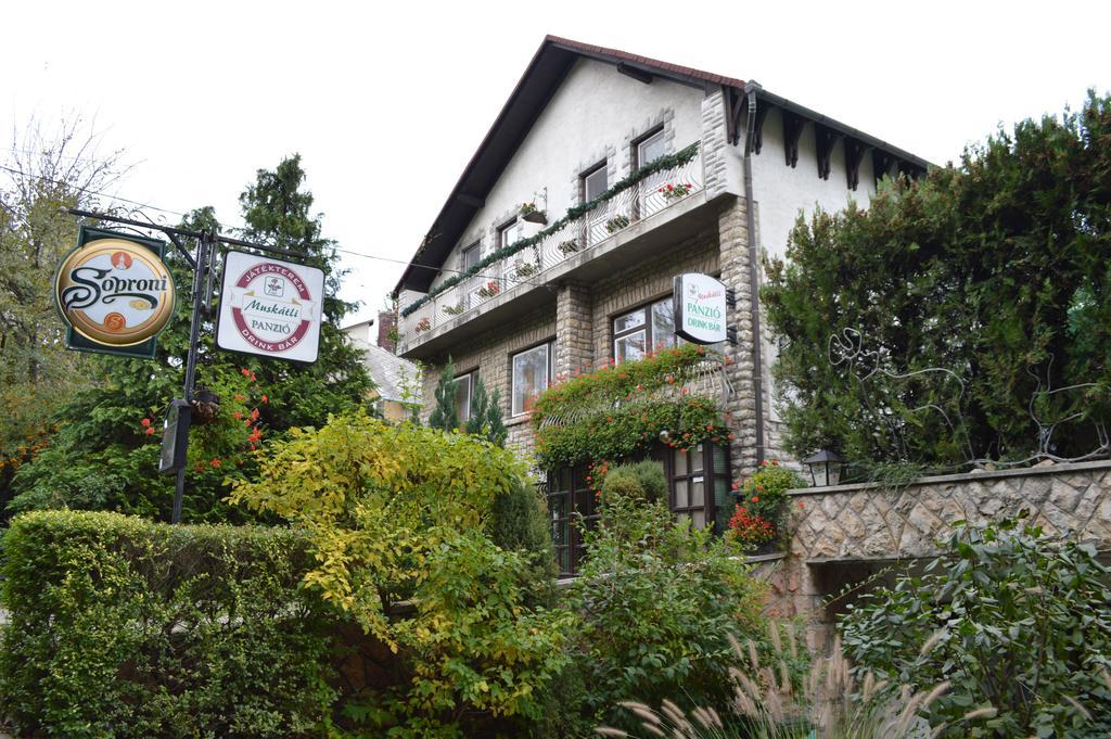 Bed and Breakfast Muskátli Panzió Győr Exterior foto