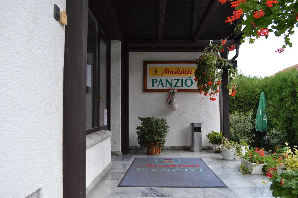 Bed and Breakfast Muskátli Panzió Győr Exterior foto