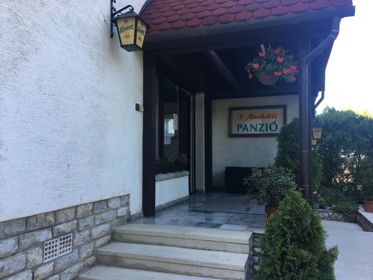 Bed and Breakfast Muskátli Panzió Győr Exterior foto